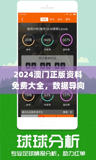 2023管家婆资料正版大全澳门-词语释义解释落实