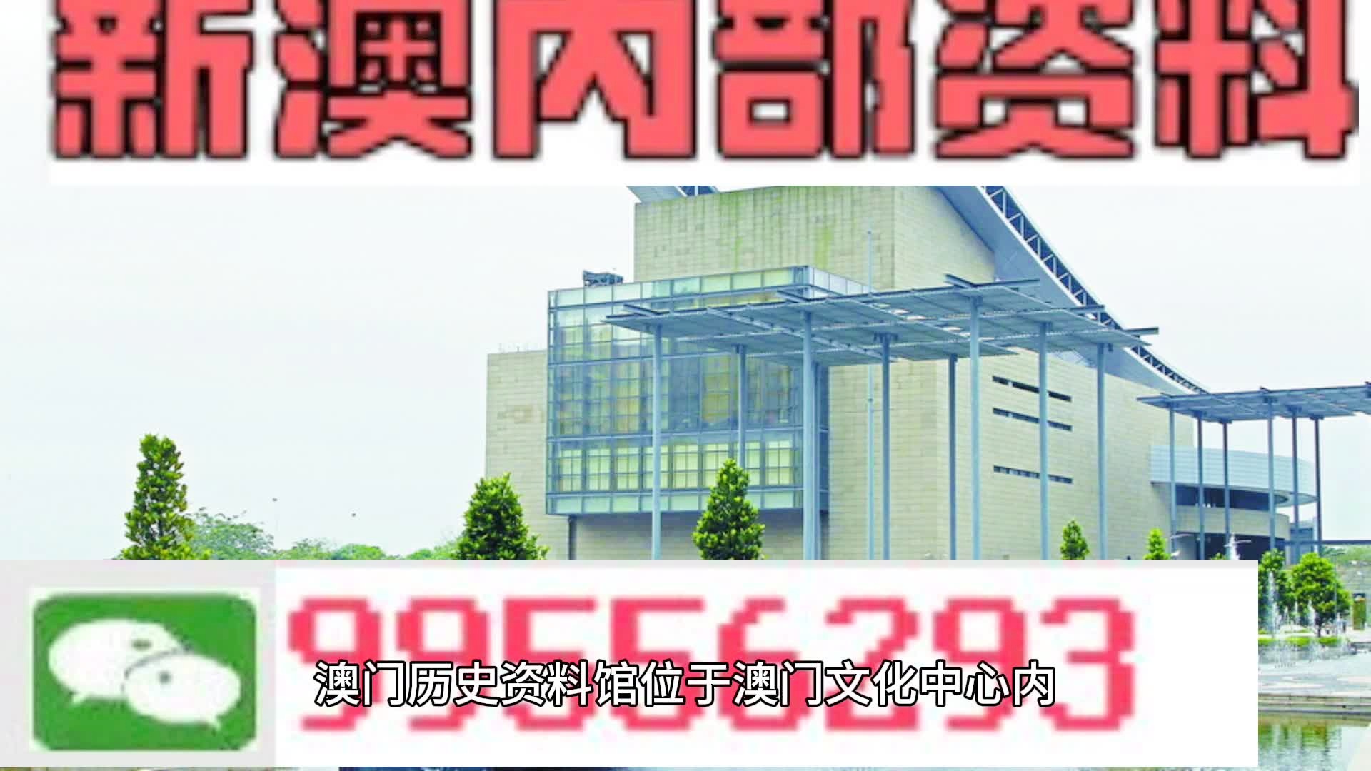 2024年新澳门天天开奖免费查询-精选解释解析落实